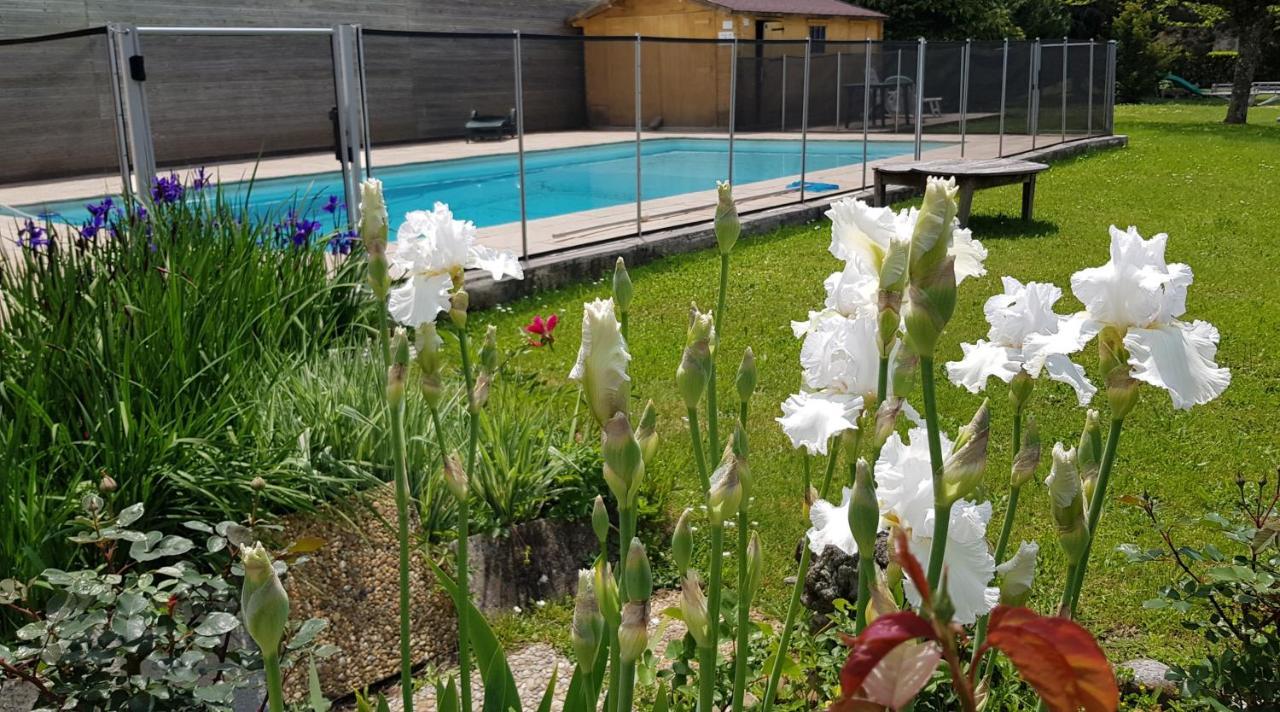 Gites De La Croisee Des Chemins - Piscine Chauffee - Spa, Hammam Et Sauna Izeaux エクステリア 写真