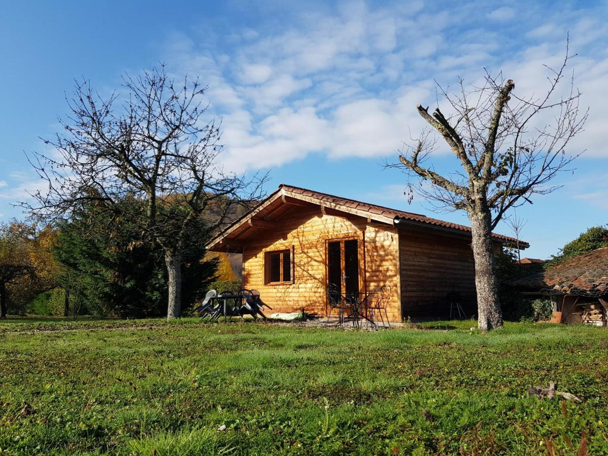 Gites De La Croisee Des Chemins - Piscine Chauffee - Spa, Hammam Et Sauna Izeaux エクステリア 写真