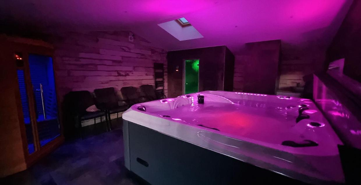 Gites De La Croisee Des Chemins - Piscine Chauffee - Spa, Hammam Et Sauna Izeaux エクステリア 写真