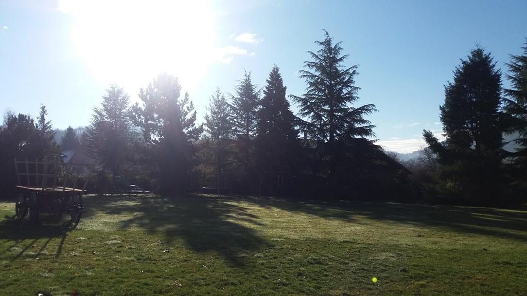 Gites De La Croisee Des Chemins - Piscine Chauffee - Spa, Hammam Et Sauna Izeaux 部屋 写真