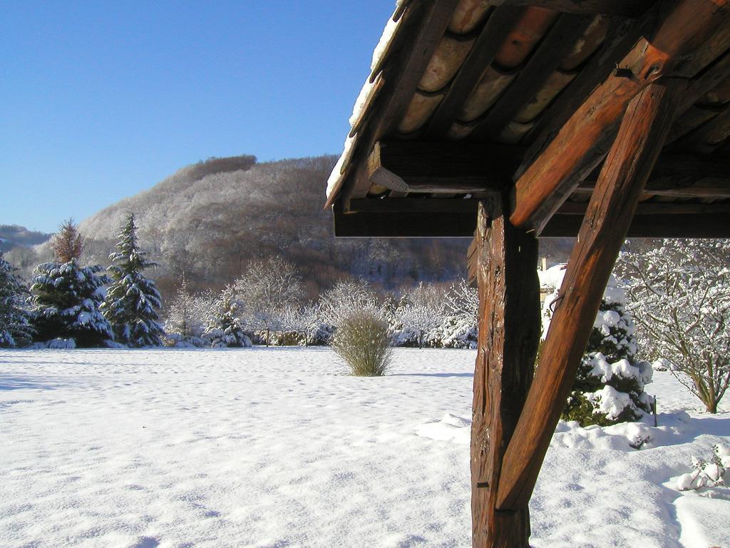 Gites De La Croisee Des Chemins - Piscine Chauffee - Spa, Hammam Et Sauna Izeaux エクステリア 写真